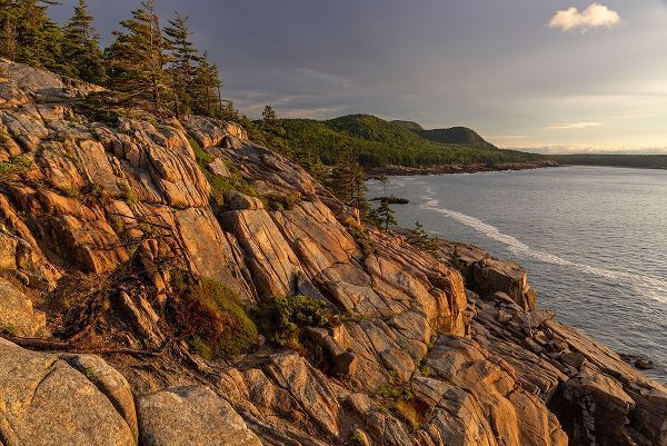 Haney, Chuck 아티스트의 Otter Cliffs at sunrise in Acadia National Park-Maine-USA작품입니다.